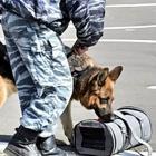 Ограничили движение из-за подозрительной сумки